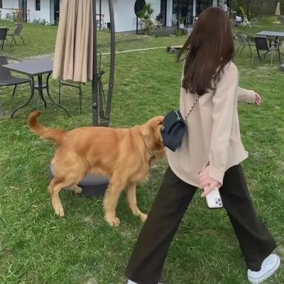 民间憋宝传说